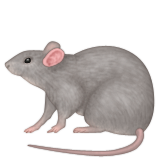 Rat Emoji (Apple/iOS Version)