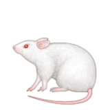 Mouse Emoji (Apple/iOS Version)