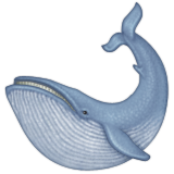 Whale Emoji (Apple/iOS Version)