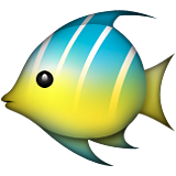 Tropical Fish Emoji (Apple/iOS Version)