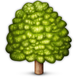 Deciduous Tree Emoji - Copy & Paste - EmojiBase!