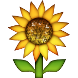Image result for sunflower emoji